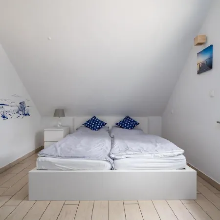 Alpaka * Plau am See